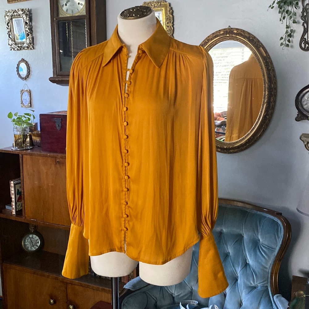 Bishop sleeve Blouse